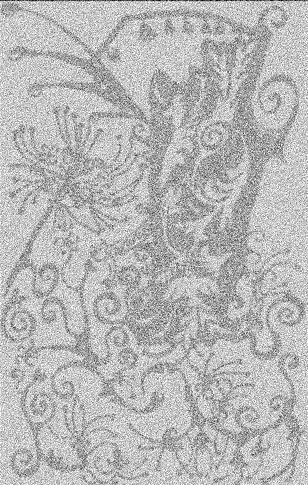 site img